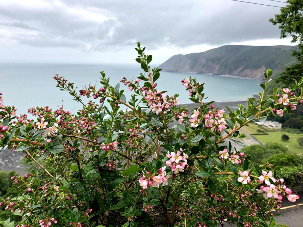 The North Cliff Hotel Lynton Extérieur photo